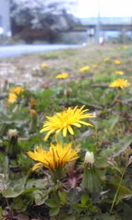 Image025.jpg